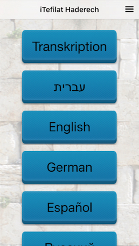 App Screen 2